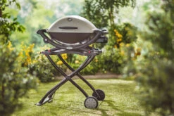 BBQ Equipment Store -BBQ Equipment Store 6557Y2 900x660 75cd36b1 12894.1628256550